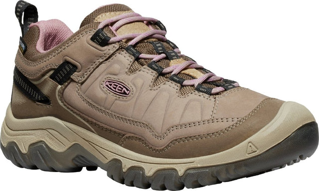 Targhee IV Wp W-Brindle/Nostalgia Rose