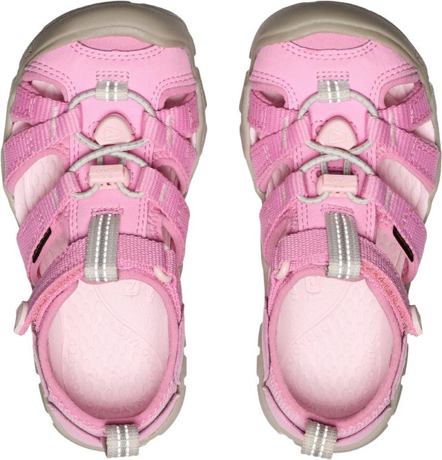 Seacamp II Cnx C-Moonlite Mauve/Pink-A-Boo
