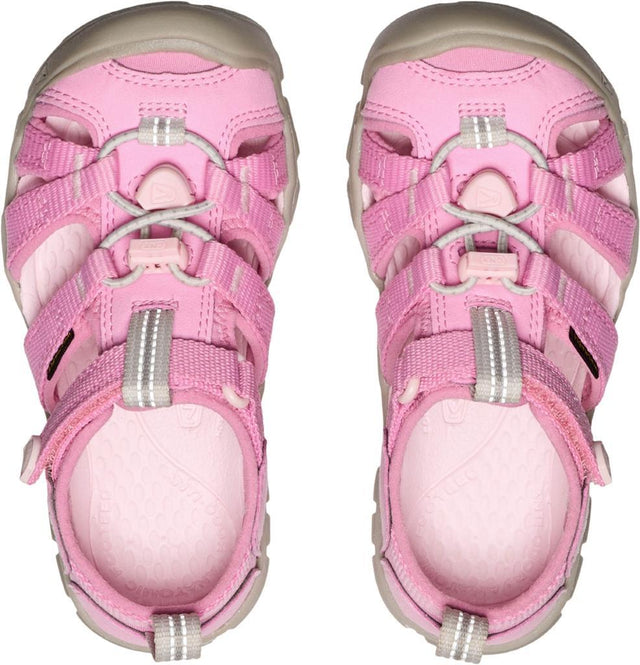 Seacamp II Cnx C-Moonlite Mauve/Pink-A-Boo