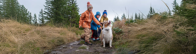 Scarpe da trekking KEEN Targhee per bambini, stivaletti impermeabili ideali per avventure outdoor.